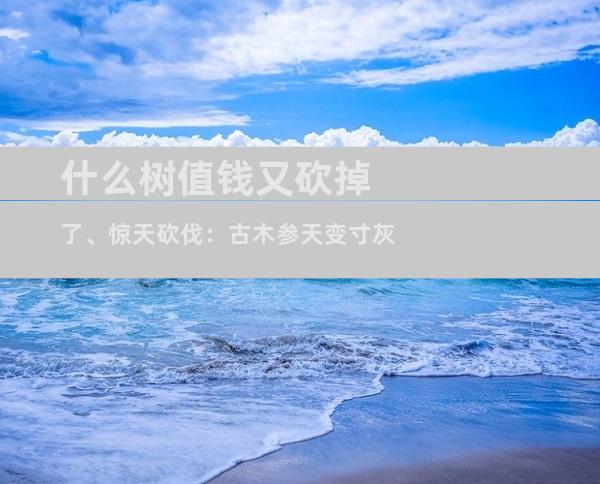 什么树值钱又砍掉了、惊天砍伐：古木参天变寸灰