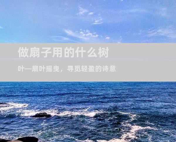做扇子用的什么树叶—扇叶摇曳，寻觅轻盈的诗意