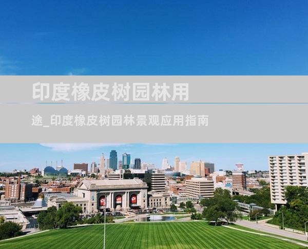 印度橡皮树园林用途_印度橡皮树园林景观应用指南
