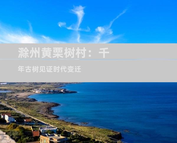 滁州黄栗树村：千年古树见证时代变迁