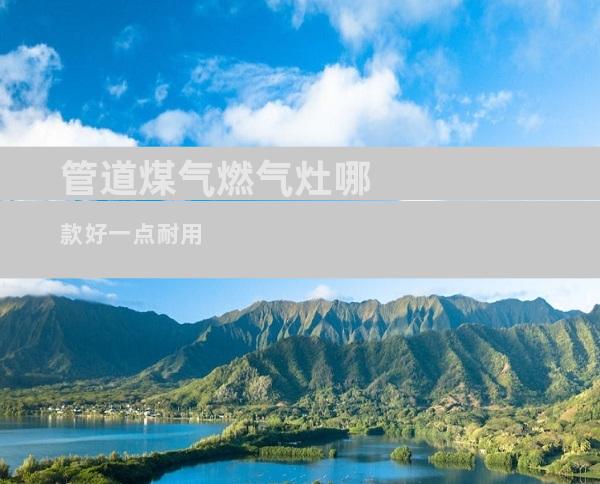管道煤气燃气灶哪款好一点耐用