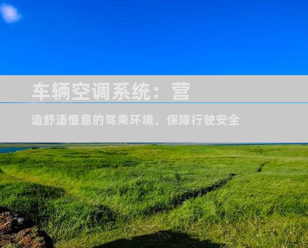 车辆空调系统：营造舒适惬意的驾乘环境，保障行驶安全