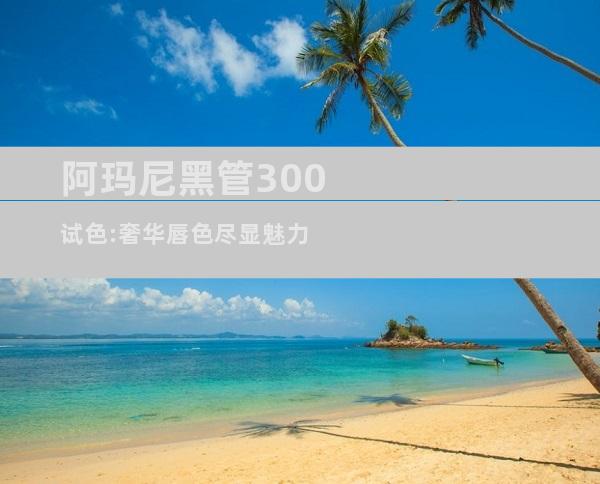 阿玛尼黑管300试色:奢华唇色尽显魅力
