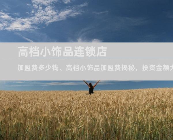 高档小饰品连锁店加盟费多少钱、高档小饰品加盟费揭秘，投资金额大公开