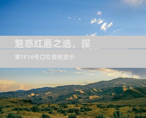 魅惑红唇之选，探索TF16号口红惊艳定价