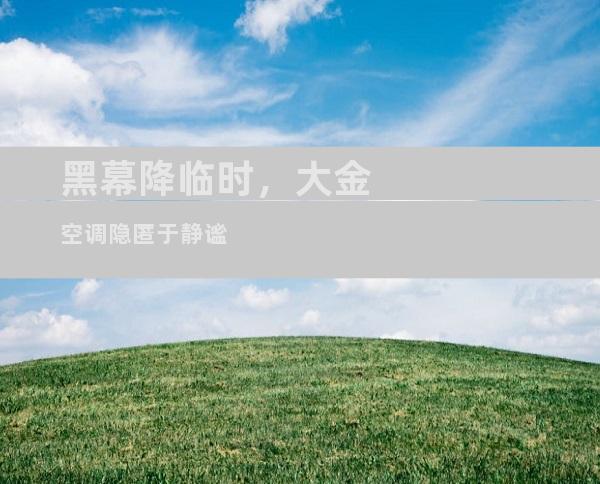 黑幕降临时，大金空调隐匿于静谧